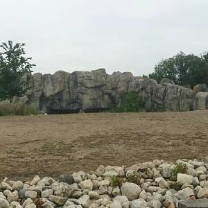 Great Bear Wilderness - American Bison Exhibit