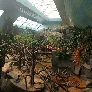 Tropic World - Africa