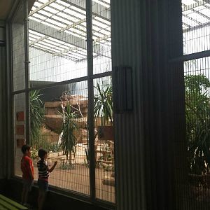 Feathers + Scales - Desert Bird Exhibit