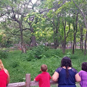 Australia - Emu Exhibit