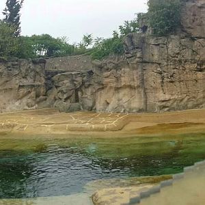 Pinniped Point - Grey Seal Exhibit