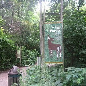 Habitat Africa! The Forest Entrance
