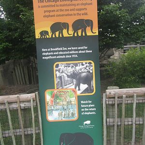 Pachyderms - Future Elephant Plans