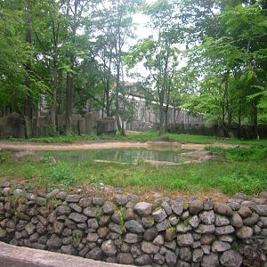 Pachyderms - Lowland Tapir Exhibit