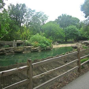 Pachyderms - Pygmy Hippopotamus Exhibit