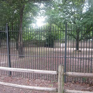 Habitat Africa! The Savanna - Warthog Exhibit