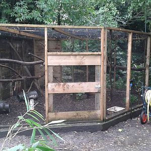 Northern yellow-throated marten enclosure