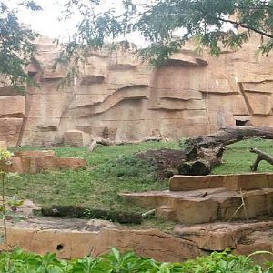 Fragile Kingdom - Big Cats - African Lion Exhibit