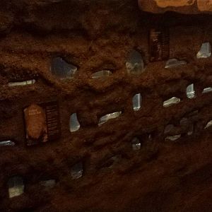 Fragile Kingdom - Fragile Desert - Damaraland + Naked Mole Rat Exhibit