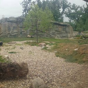 Great Bear Wilderness - First Polar Bear Exhibit
