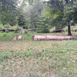 Wolf Woods - Mexican Grey Wolf Exhibit - Left Viewing