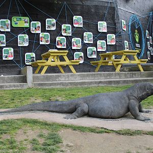Komodo Dragon statue