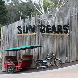 Sun Bear sign