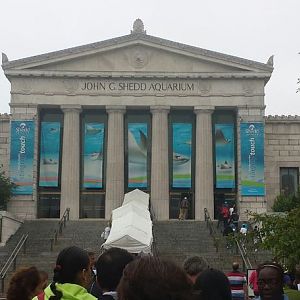Shedd Aquarium - Main Entrance