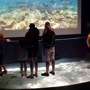 Wild Reef - Stingray Way