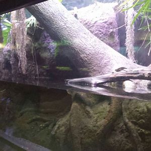 Islands and Lakes Exhibits