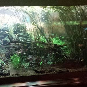 Islands and Lakes Exhibit