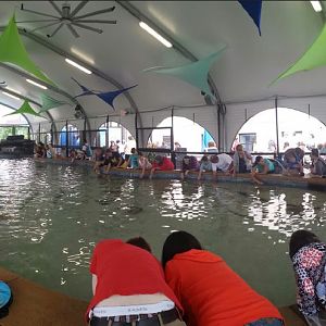 Stingray Touch - Panorama