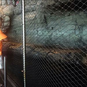 Oceanarium - Pacific Northwest - Sea Lion Cove