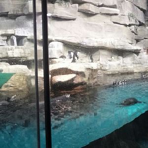 Polar Play Zone - Icy South Exhibit