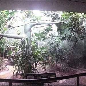 McCormick Bird House - Deep Forest