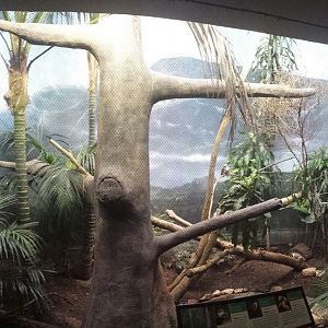 McCormick Bird House - Mountain Clearing