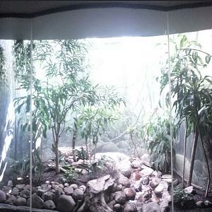 McCormick Bird House - Riverbank