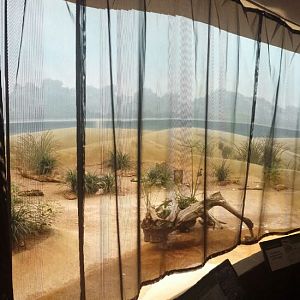 McCormick Bird House - Seashore