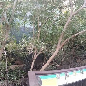 McCormick Bird House - Tropical River Atrium - Right Viewing