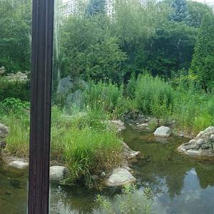 Children's Zoo - American Black Bear Exhibit