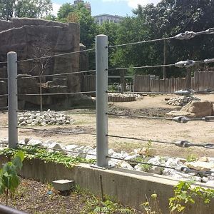 African Journey - Eastern Black Rhinoceros Exhibit