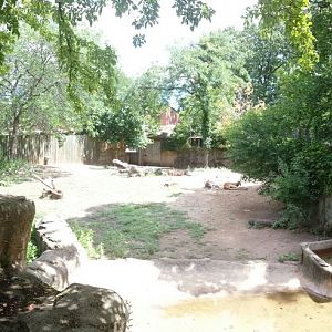 Antelope + Zebra Area - Red Kangaroo Exhibit