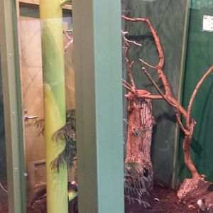 Children's Zoo - Eastern Screech Owl Exhibit