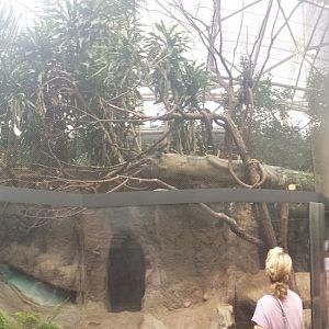 Small Mammal - Reptile House -White-faced Saki Monkey Exhibit