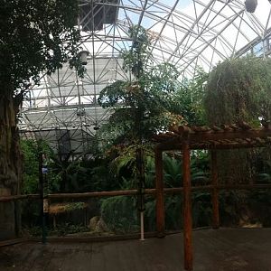 Small Mammal - Reptile House