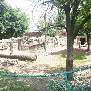 Antelope + Zebra Area - Second Sichuan Takin Exhibit
