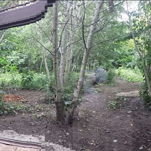 Children's Zoo - First Red Wolf Exhibit