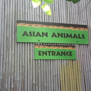 Aug. 2013 - Jungle Trails - Asian Animals Entrance