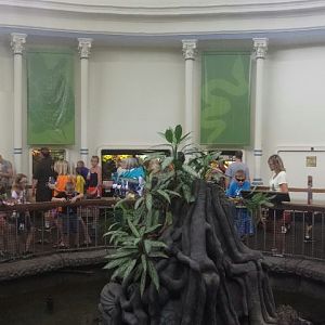 Aug. 2013 - Reptile House