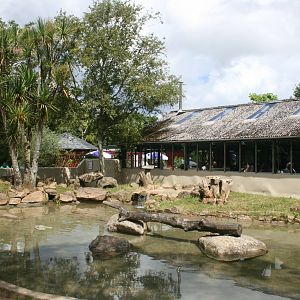 Asian_short-clawed_otter_enclosure