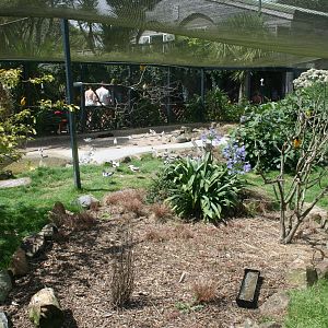 Back View Of Entrance Aviary