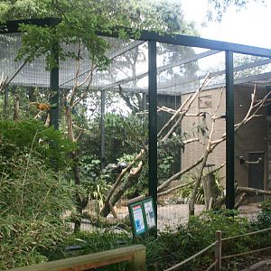 Blue Throated Macaw Aviary
