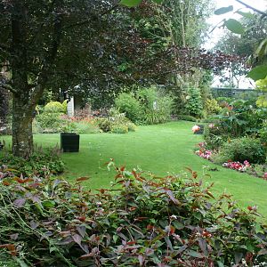 Flamingo Enclosure 1