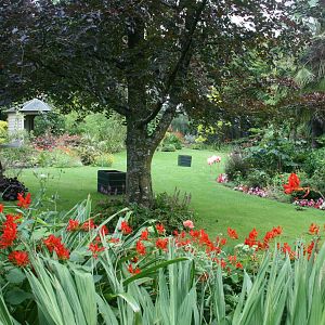 Flamingo Enclosure 2