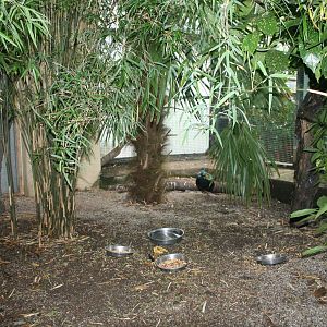 Floor View Of Botton Garden Aviary