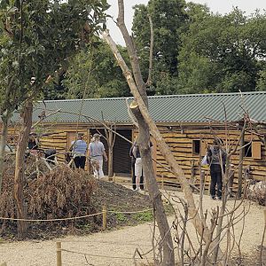 Lemur walkthrough indoor housing