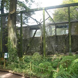 Mixed Parrot Enclosure