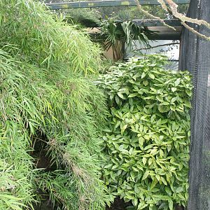 Botton Garden Aviary