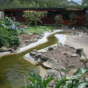 View Of Entrance viary