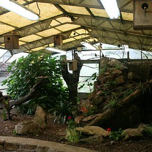 View Of Tropical House
